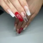 267706457 4850945078301587 8389219779582924297 n