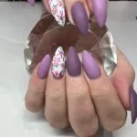 279733511 537247181390655 1801270378777252849 n