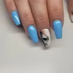 280048498 570606881094317 7986630657372020134 n