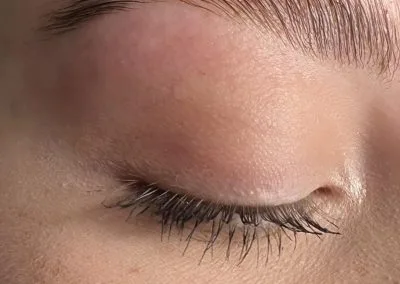 Lamination of an eyebrow
